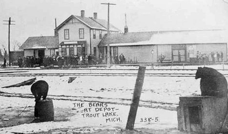 Trout Lake Depot with bears